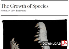 The Growth of Species