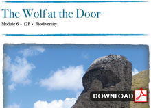 The Wolf at the Door<br /><br />